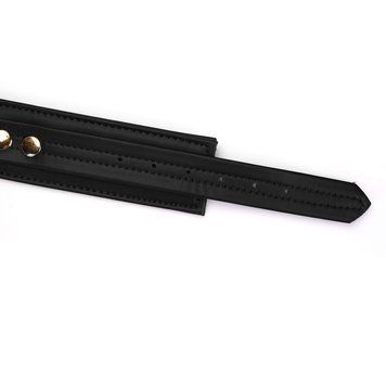 Нашийник з повідцем Liebe Seele Black Organosilicon Collar with Leash, екошкіра SO9484 фото