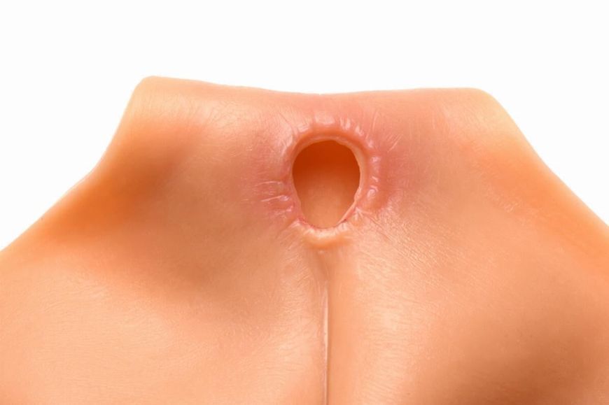 Накладна вагіна Master Series Silicone Vagina + Butt Panties - Large SX1188 фото