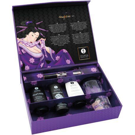 Подарунковий набір Shunga Naughtier Kit, 5 продуктів для інтимної стимуляції SX0587 фото