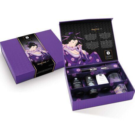 Подарунковий набір Shunga Naughtier Kit, 5 продуктів для інтимної стимуляції SX0587 фото